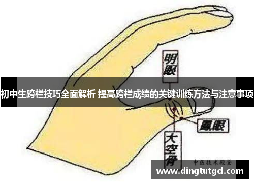 初中生跨栏技巧全面解析 提高跨栏成绩的关键训练方法与注意事项