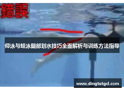 仰泳与蛙泳腿部划水技巧全面解析与训练方法指导