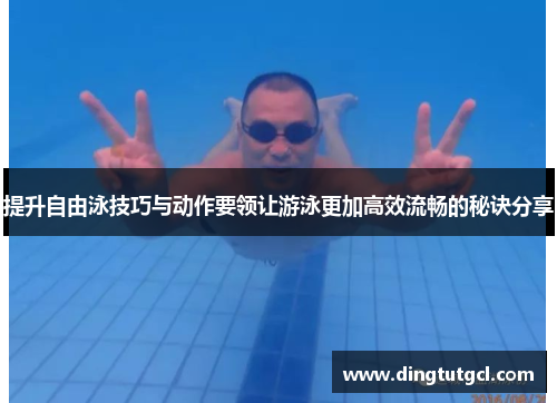 提升自由泳技巧与动作要领让游泳更加高效流畅的秘诀分享