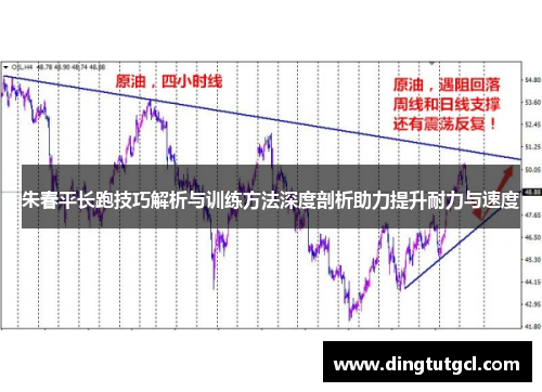 朱春平长跑技巧解析与训练方法深度剖析助力提升耐力与速度
