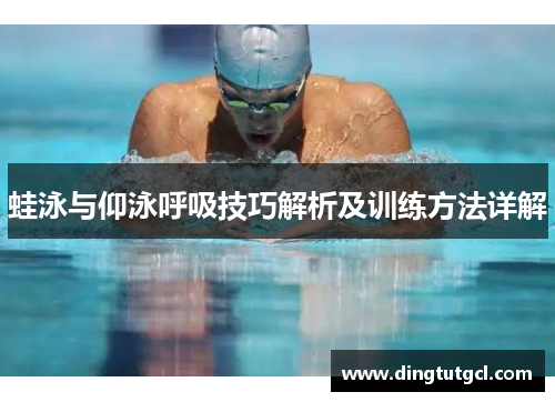 蛙泳与仰泳呼吸技巧解析及训练方法详解