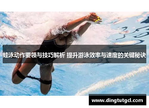 蛙泳动作要领与技巧解析 提升游泳效率与速度的关键秘诀