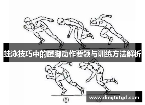 蛙泳技巧中的蹬脚动作要领与训练方法解析