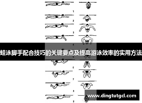 蛙泳脚手配合技巧的关键要点及提高游泳效率的实用方法