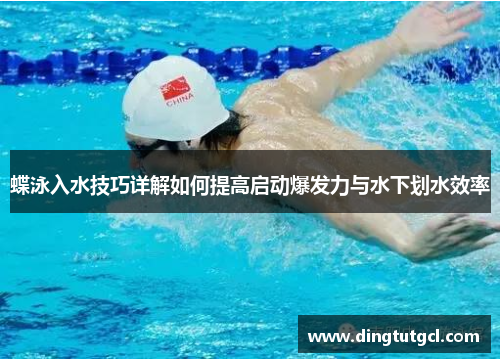 蝶泳入水技巧详解如何提高启动爆发力与水下划水效率