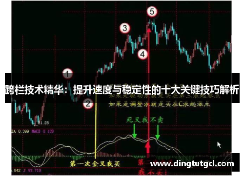 跨栏技术精华：提升速度与稳定性的十大关键技巧解析