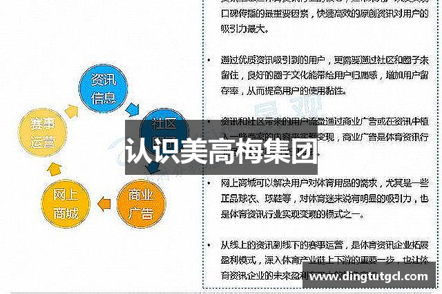 认识美高梅集团